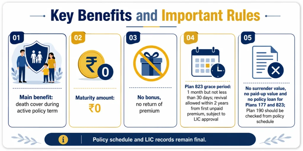 LIC Amulya Jeevan key benefits and rules showing death cover, zero maturity benefit, no bonus, grace period, revival and no surrender or loan benefits